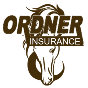 Ordner Insurance, LLC