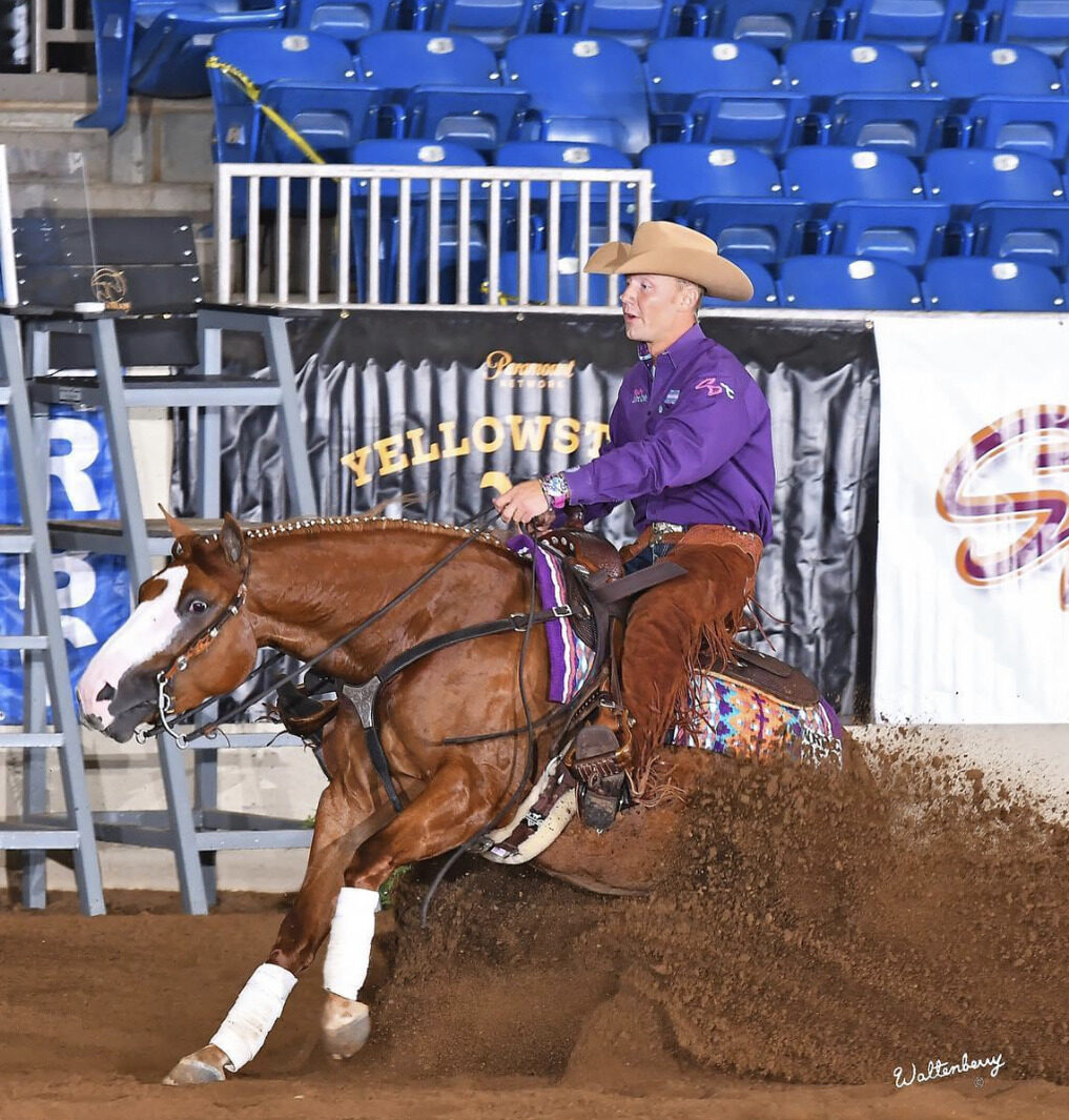 Equine Insurance-Ordner Insurance Inc