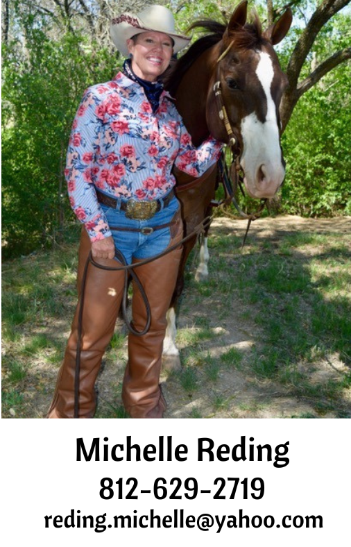 Michele Reding,Ordner Insurance