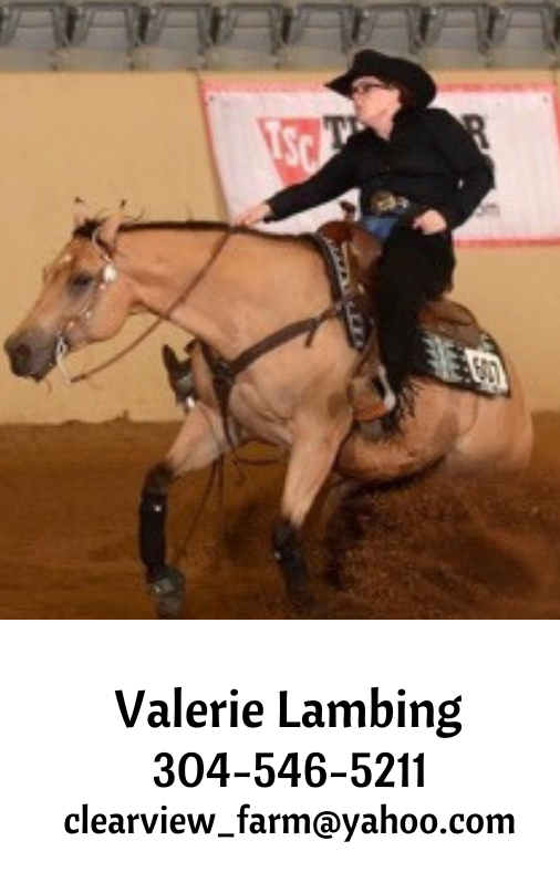 Valerie Lambing,Ordner Insurance
