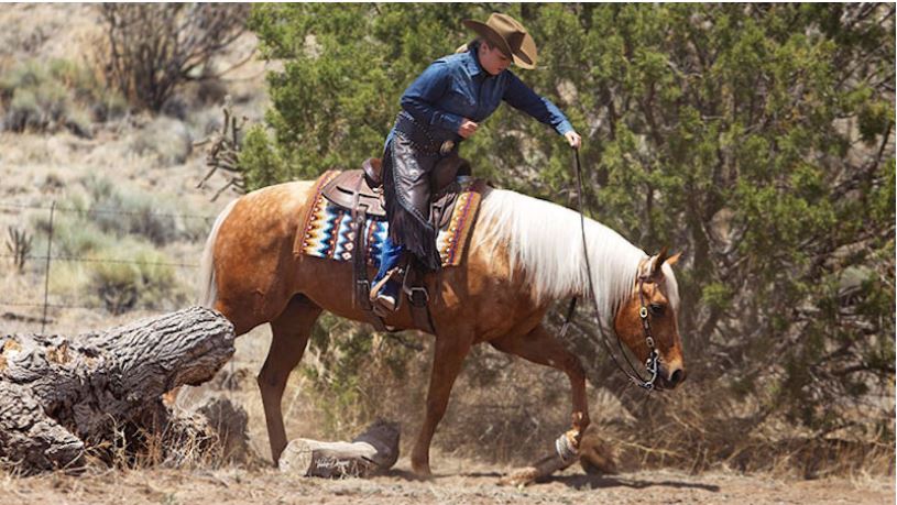 Quarter Horse News Article- Ordner Insurance and American Reliable Insurance